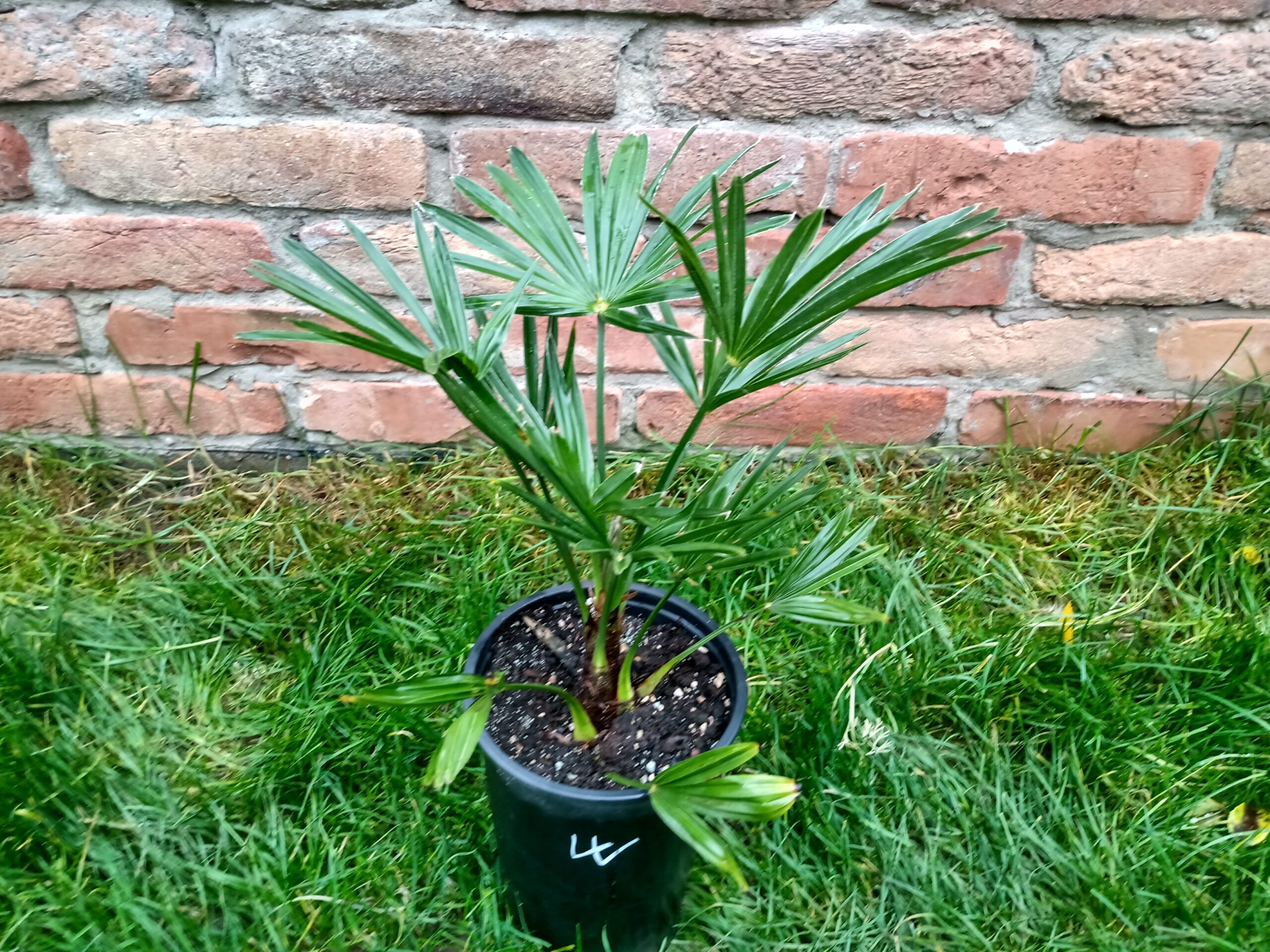 IMG_20201102_135354868_HDR