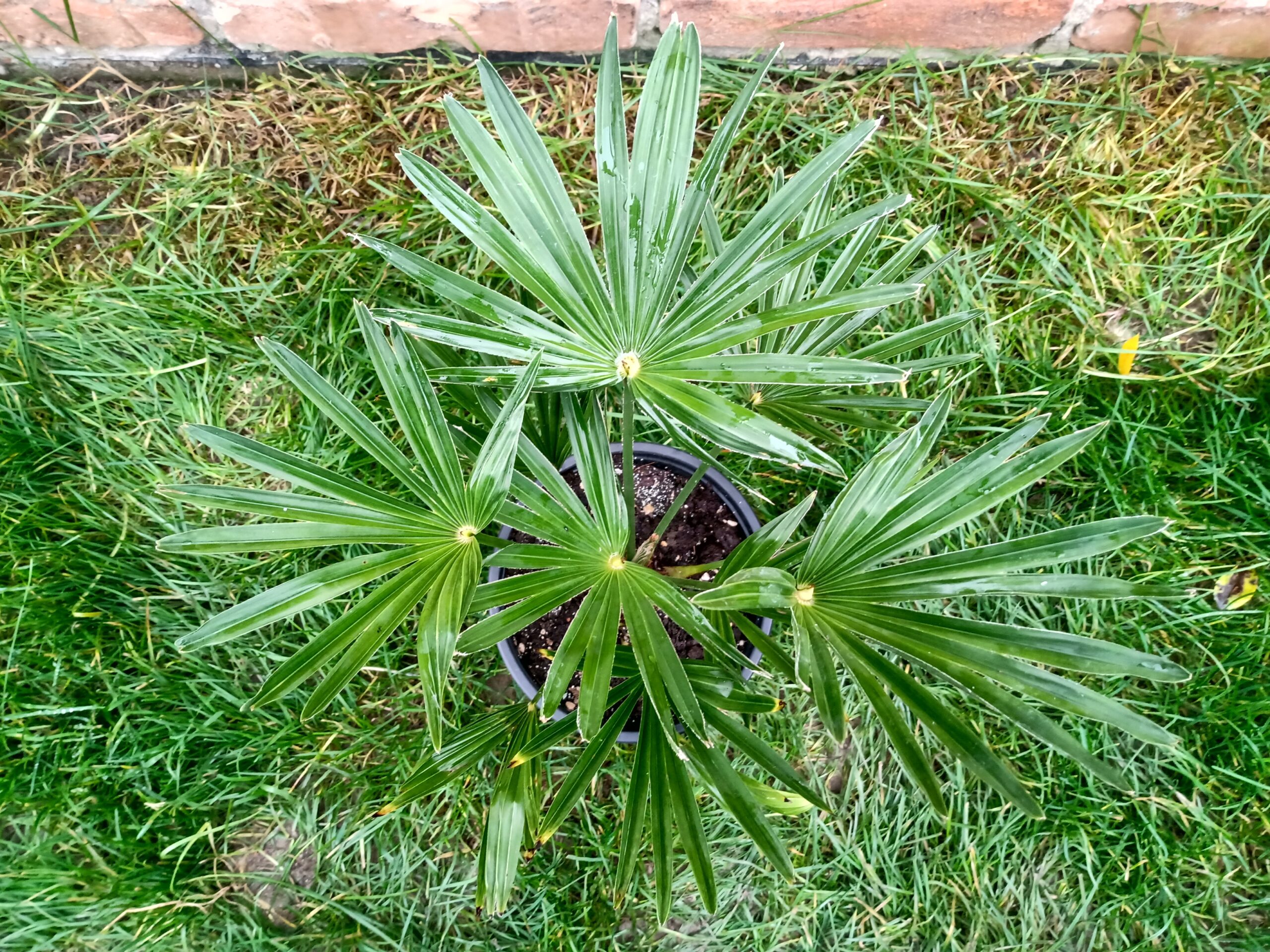 IMG_20201102_135400718_HDR